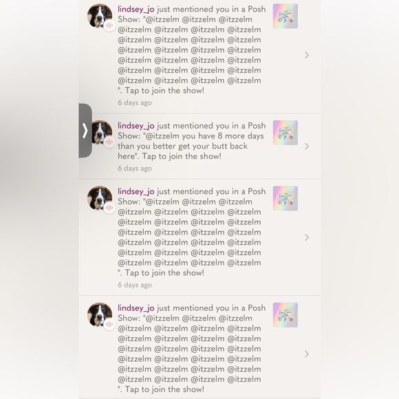 Meet your Posher, Itzzel - Picture 2 of 2